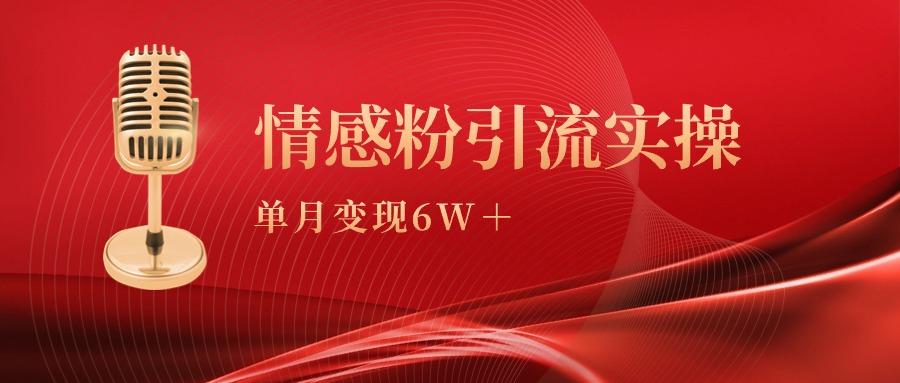 (9473期)单月变现6w+，情感粉引流变现实操课-大熊网创
