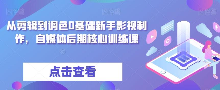 从剪辑到调色0基础新手影视制作，自媒体后期核心训练课-大熊网创