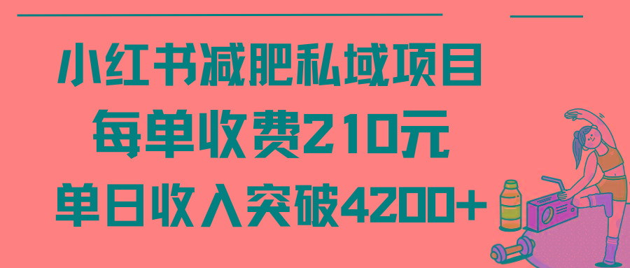 (9466期)小红书减肥私域项目每单收费210元单日成交20单，最高日入4200+-大熊网创