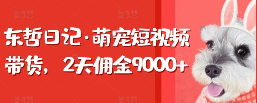 东哲日记·萌宠短视频带货，2天佣金9000+-大熊网创