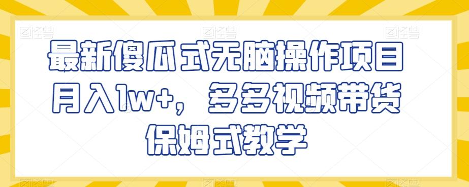 最新傻瓜式无脑操作项目月入1w+，多多视频带货保姆式教学【揭秘】-大熊网创