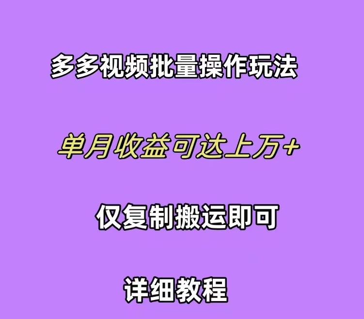(10029期)拼多多视频带货快速过爆款选品教程 每天轻轻松松赚取三位数佣金 小白必…-大熊网创