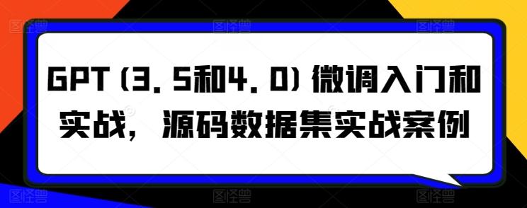 GPT(3.5和4.0)微调入门和实战，源码数据集实战案例-大熊网创
