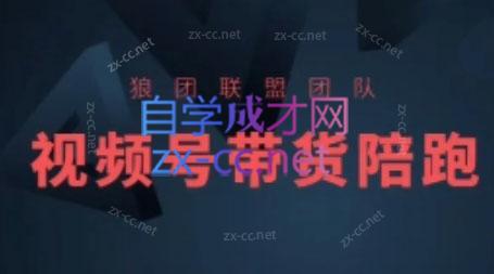 狼团联盟·2024视频号带货-大熊网创