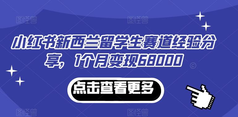 小红书新西兰留学生赛道经验分享，1个月变现68000【揭秘】-大熊网创