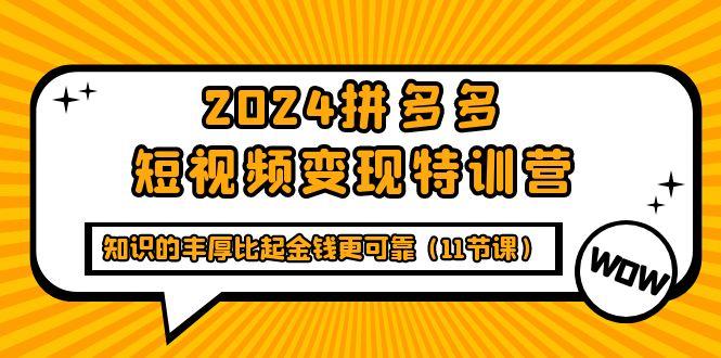 (9817期)2024拼多多短视频变现特训营，知识的丰厚比起金钱更可靠(11节课)-网创星球