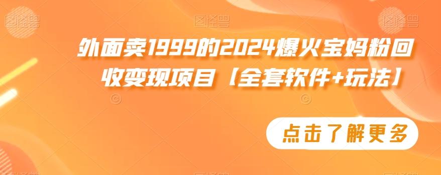 外面卖1999的2024爆火宝妈粉回收变现项目【全套软件+玩法】【揭秘】-大熊网创