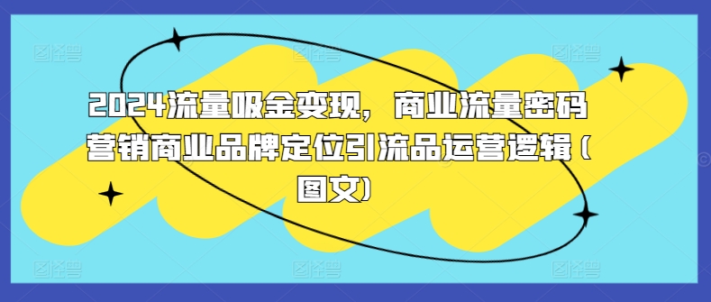 2024流量吸金变现，商业流量密码营销商业品牌定位引流品运营逻辑(图文)-大熊网创