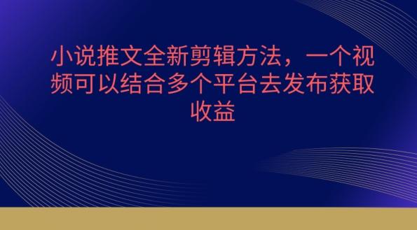小说推文全新剪辑方法，一个视频可以结合多个平台去发布获取【揭秘】-大熊网创