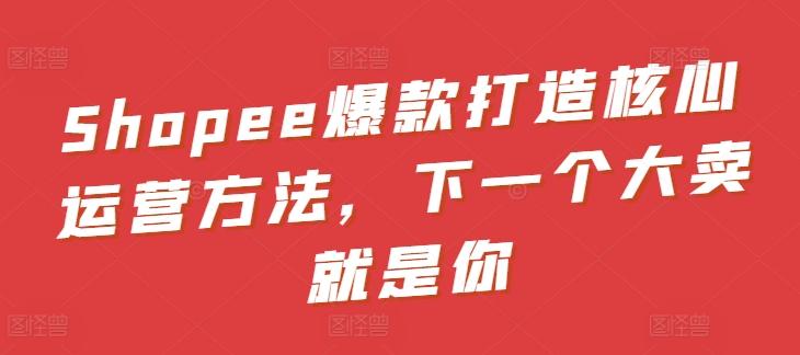 Shopee爆款打造核心运营方法，下一个大卖就是你-大熊网创