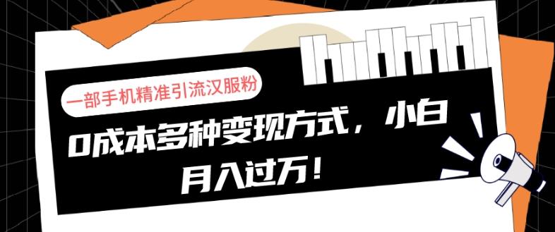 一部手机精准引流汉服粉，0成本多种变现方式，小白月入过万！-大熊网创