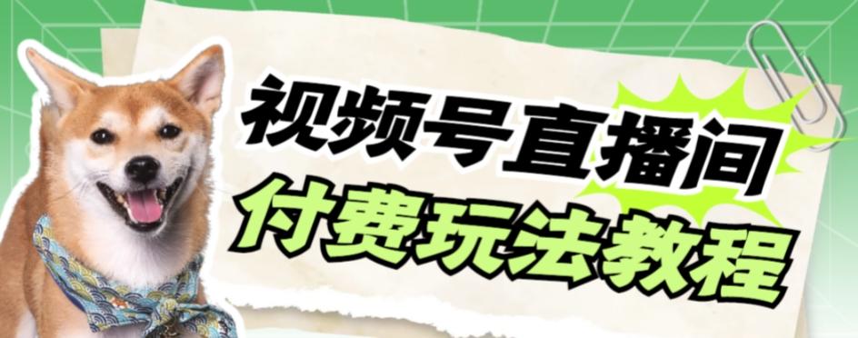 视频号美女付费无人直播，轻松日入500+【详细玩法教程】-大熊网创