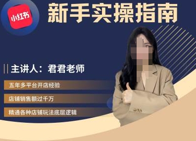 君君-小红书电商从入门到精通，新手实操指南-大熊网创