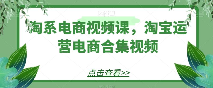 淘系电商视频课，淘宝运营电商合集视频-大熊网创
