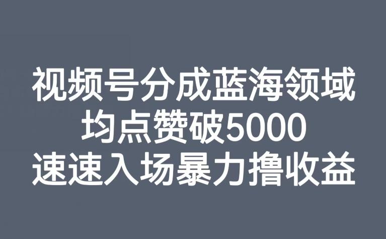视频号分成蓝海领域，均点赞破5000，速速入场暴力撸收益-大熊网创