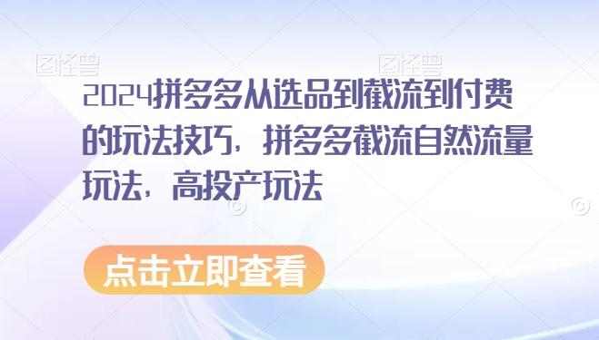 2024拼多多从选品到截流到付费的玩法技巧，拼多多截流自然流量玩法，高投产玩法-大熊网创