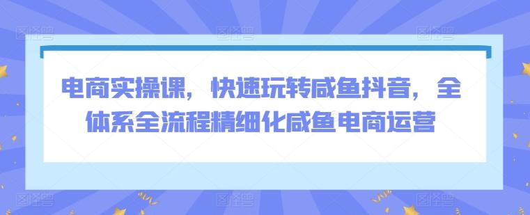 电商实操课，快速玩转咸鱼抖音，全体系全流程精细化咸鱼电商运营-大熊网创