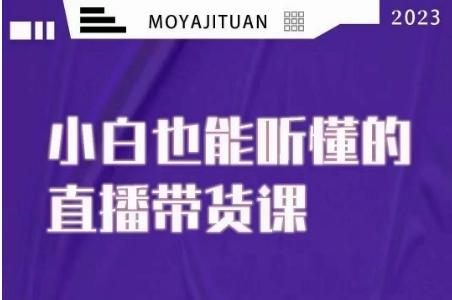 大威本威·能听懂的直播带货课，小白也能听懂，20节完整-大熊网创