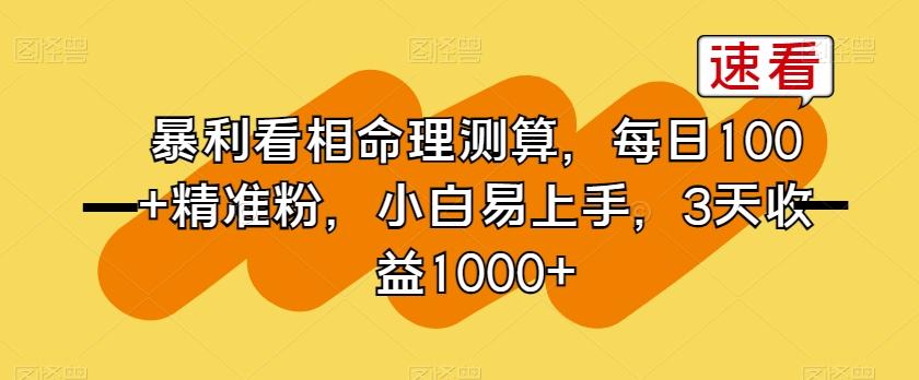 暴利看相命理测算，每日100+精准粉，小白易上手，3天收益1000+【揭秘】-大熊网创
