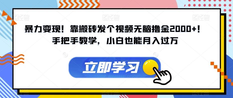 暴力变现！靠搬砖发个视频无脑撸金2000+！手把手教学，小白也能月入过万【揭秘】-大熊网创