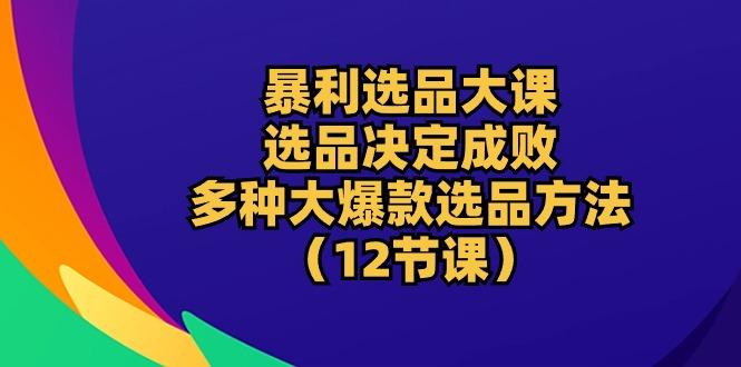 暴利 选品大课：选品决定成败，教你多种大爆款选品方法(12节课-大熊网创