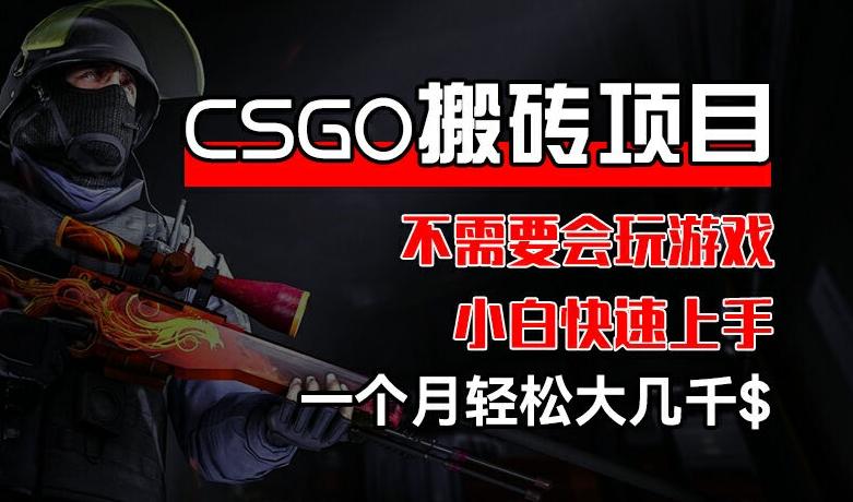 CSGO 装备搬砖项目，操作简单，不需要会玩游戏，小白也能快速上手，一个月轻松大几千【揭秘】-大熊网创