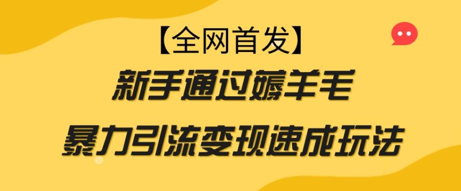 【全网首发】新手通过薅羊毛暴力引流变现速成玩法-大熊网创
