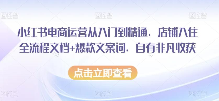 小红书电商运营从入门到精通，店铺入住全流程文档+爆款文案词，自有非凡收获-大熊网创