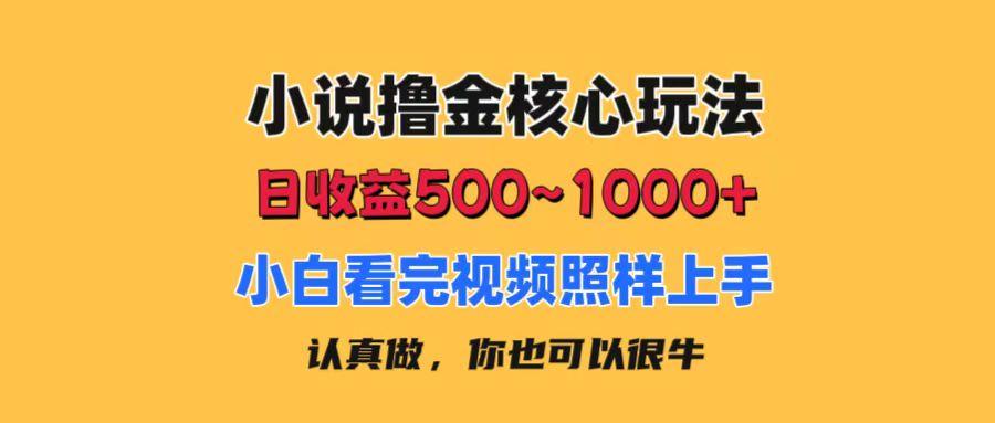 小说撸金核心玩法，日收益500-1000+，小白看完照样上手，0成本有手就行-大熊网创