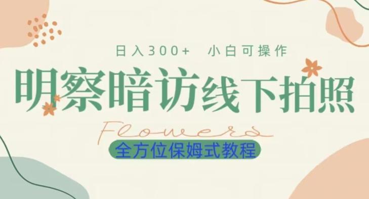 明拍暗拍项目0成本投入日入300+小白可操作保姆式全方位教程-大熊网创