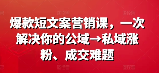 爆款短文案营销课，一次解决你的公域→私域涨粉、成交难题-大熊网创