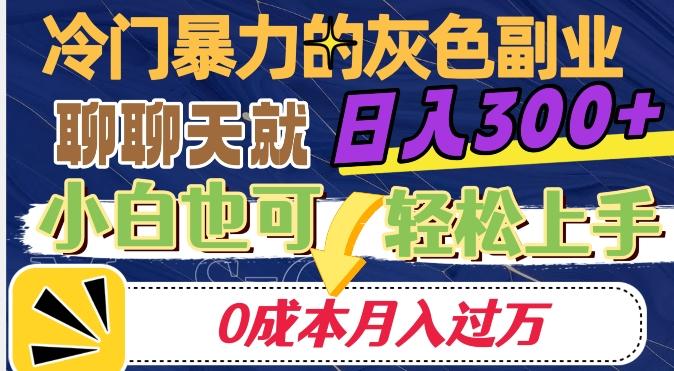 冷门暴利的副业项目，聊聊天就能日入300+，0成本月入过万【揭秘】-大熊网创