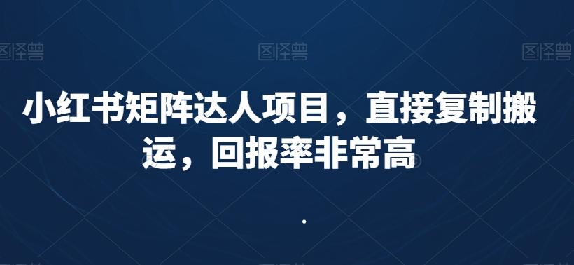 小红书矩阵达人项目，直接复制搬运，回报率非常高-大熊网创