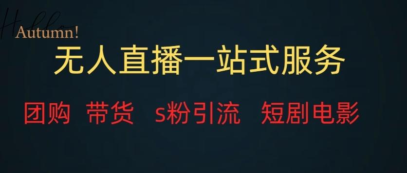 无人直播一站式服务（教程以及变现方式）-大熊网创