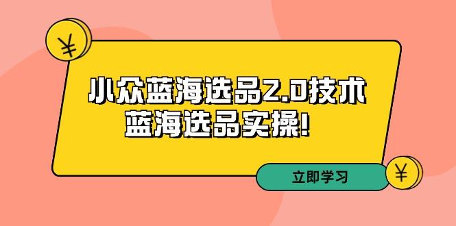 拼多多培训第33期：小众蓝海选品2.0技术-蓝海选品实操！-大熊网创