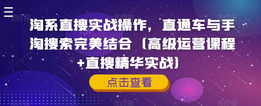 淘系直搜实战操作，直通车与手淘搜索完美结合（高级运营课程+直搜精华实战）-大熊网创
