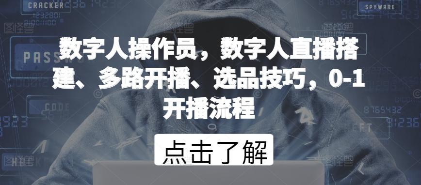 数字人操作员，数字人直播搭建、多路开播、选品技巧，0-1开播流程-大熊网创