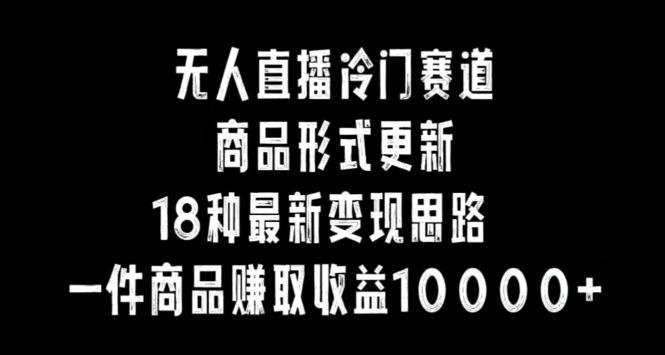 无人直播冷门赛道，商品形式更新，18种变现思路，一件商品赚取收益10000+【揭秘】-大熊网创