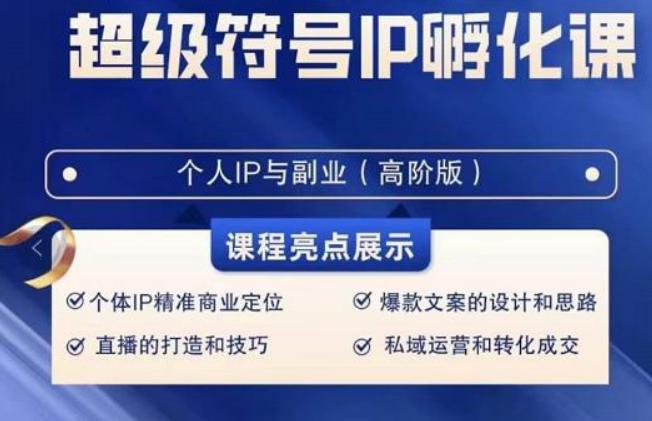 超级符号IP孵化高阶课，建立流量思维底层逻辑，打造属于自己IP（51节课）-大熊网创