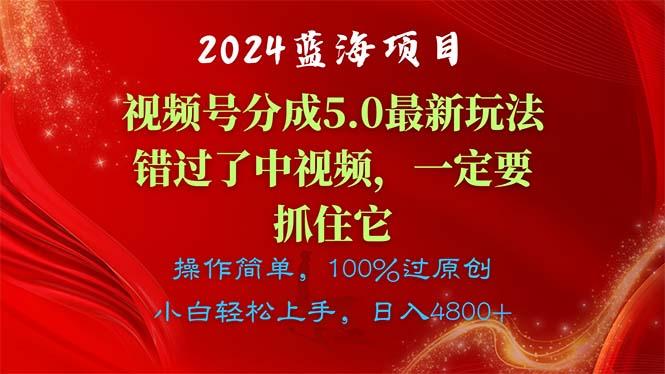 2024蓝海项目，视频号分成计划5.0最新玩法，错过了中视频，一定要抓住…-大熊网创