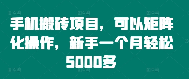 手机搬砖项目，可以矩阵化操作，新手一个月轻松5000多-大熊网创