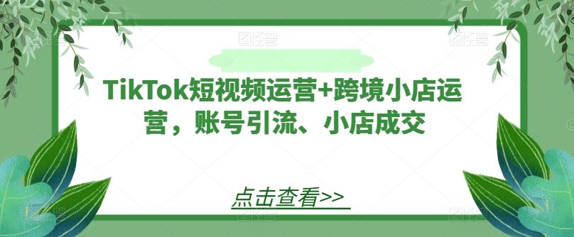 TikTok短视频运营+跨境小店运营，账号引流、小店成交-网创星球