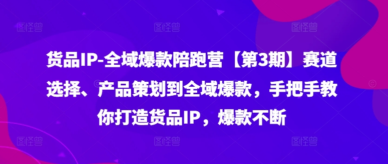 货品IP全域爆款陪跑营【第3期】赛道选择、产品策划到全域爆款，手把手教你打造货品IP，爆款不断-大熊网创