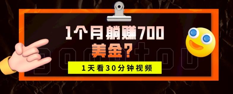 1天看30分钟视频，1个月躺赚700美金？-大熊网创