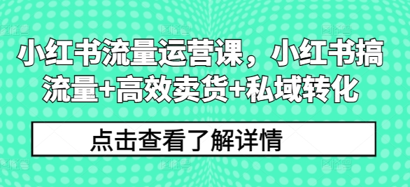 小红书流量运营课，小红书搞流量+高效卖货+私域转化-大熊网创
