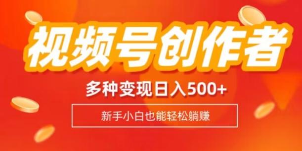 视频号创作者计划，多种变现方式，日入500+【内附1080g视频素材】-大熊网创