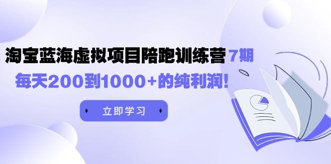 (9541期)黄岛主《淘宝蓝海虚拟项目陪跑训练营7期》每天200到1000+的纯利润-网创星球