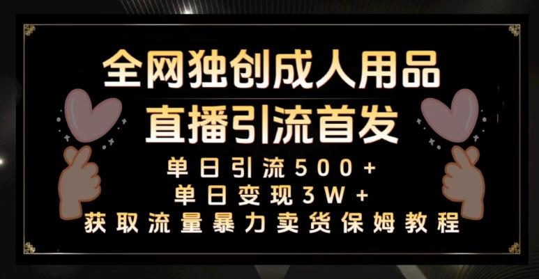全网独创真人主播+无人直播单日引流500+，橙人用品暴力卖货单日变现3W+保姆似教学2.0【揭秘】-大熊网创