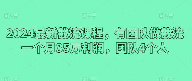 2024最新截流课程，有团队做截流一个月35万利润，团队4个人-大熊网创