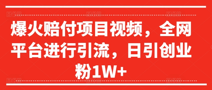 爆火赔付项目视频，全网平台进行引流，日引创业粉1W+【揭秘】-大熊网创